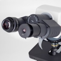 Motic BA-310 Phase ähnliches Bild