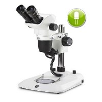 NEXIUS EVO NZ.1703-P