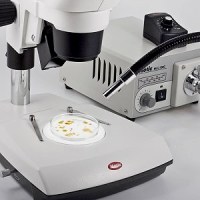 MOTIC SMZ-171-TLED