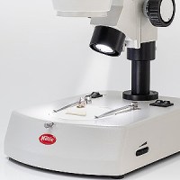 MOTIC-SMZ-160-BLED